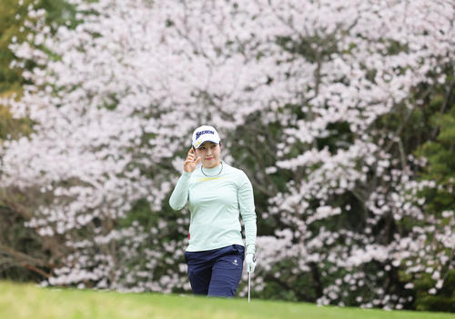 11番、満開の桜を背にショットを放ちギャラリーに応える小祝（撮影・足立雅史）