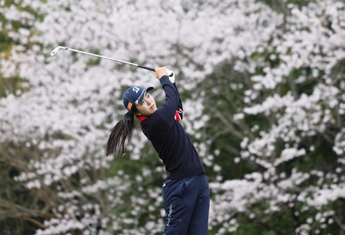 11番、満開の桜を背にショットを放つ堀（撮影・足立雅史）