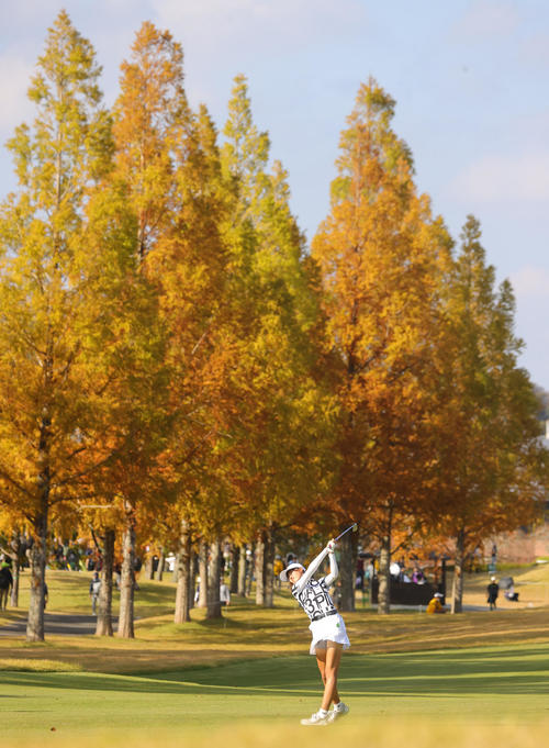 16番、第2打を放つ馬場（撮影・野上伸悟）