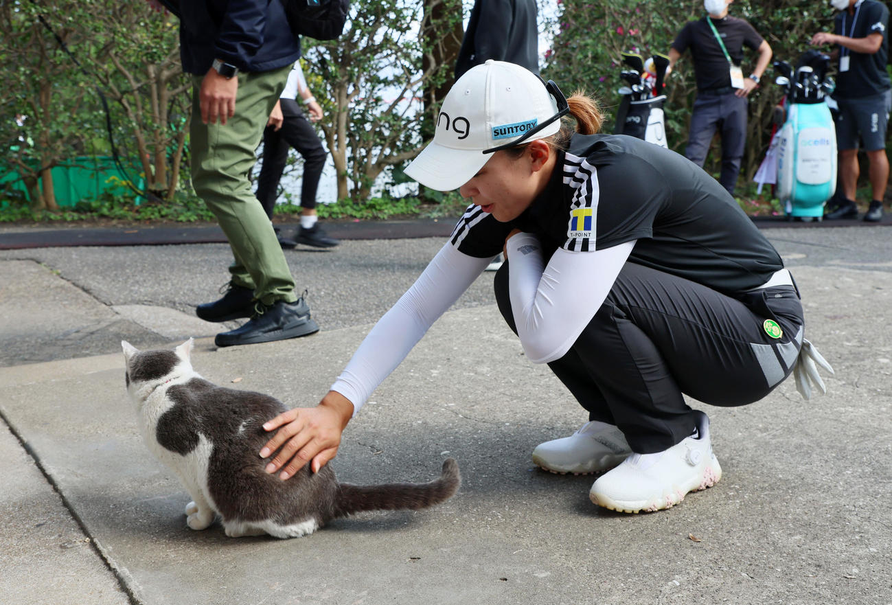 コースの飼い猫「グレ」のお尻付近を手でなでる渋野日向子（撮影・加藤哉）