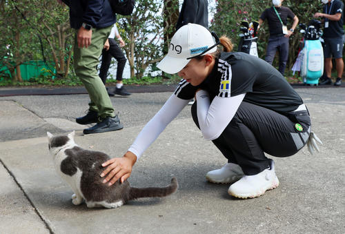 コースの飼い猫「グレ」のお尻付近を手でなでる渋野日向子（撮影・加藤哉）