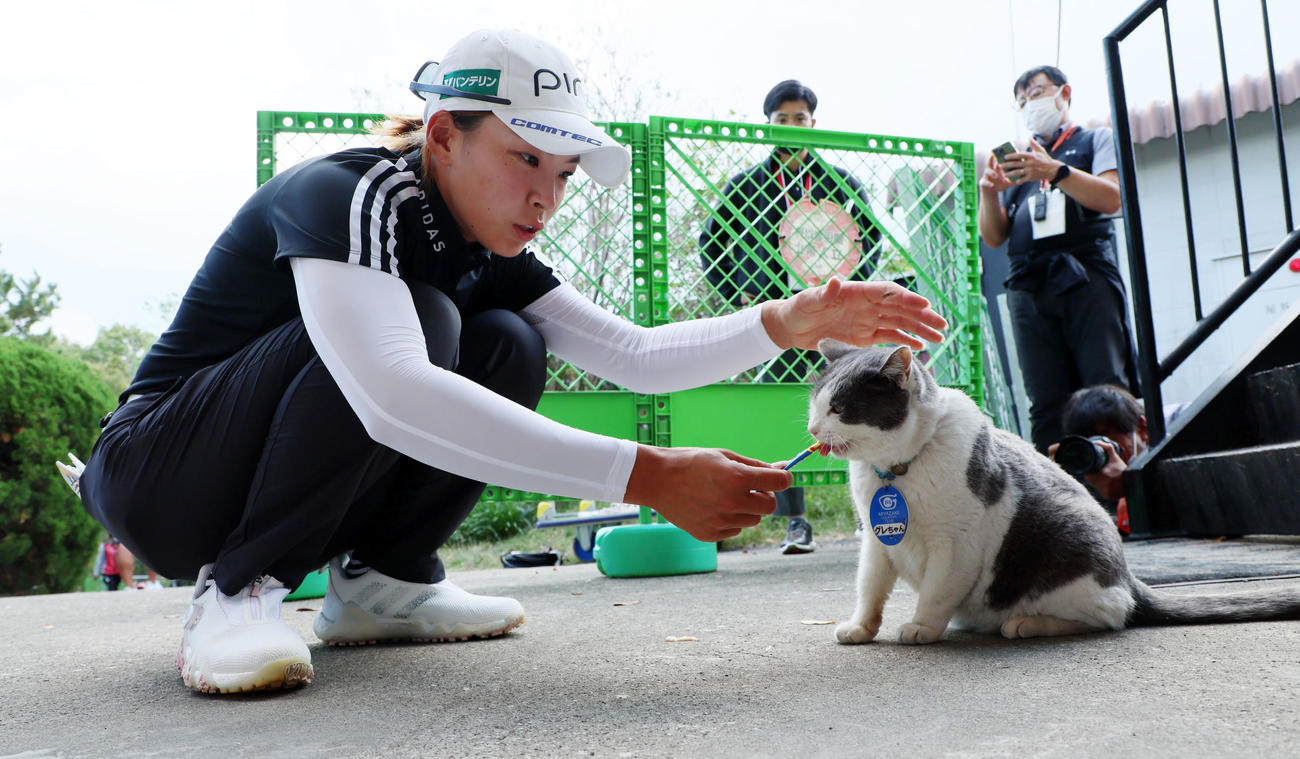 練習場から移動する渋野はコースの飼い猫「グレ」に食事をあげる（撮影・加藤哉）