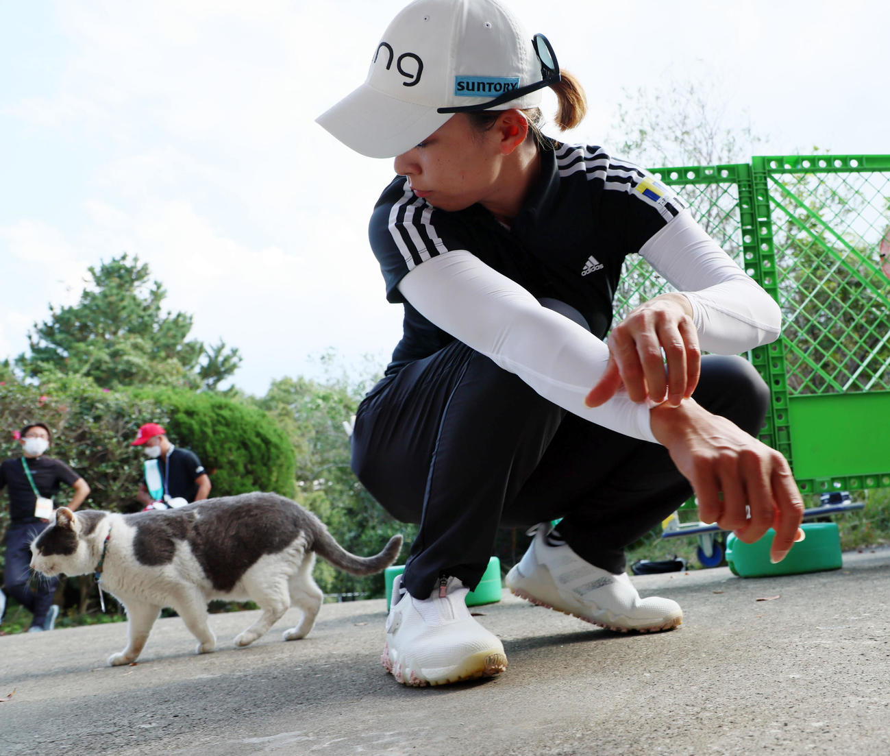 コースの飼い猫「グレ」は渋野から食事をもらい完食するとそそくさと移動…（撮影・加藤哉）