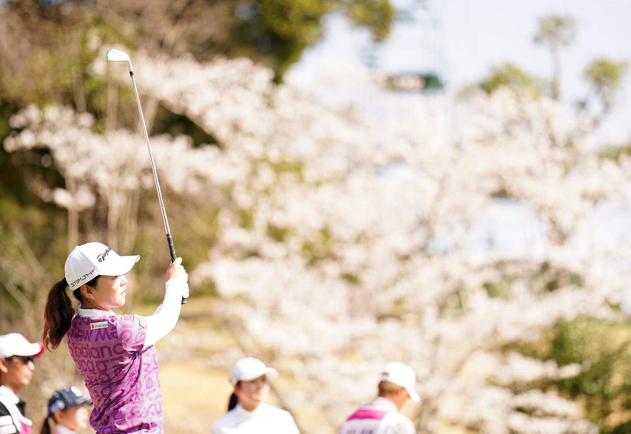17番、桜をバックにティーショットを放つ山内（撮影・狩俣裕三）