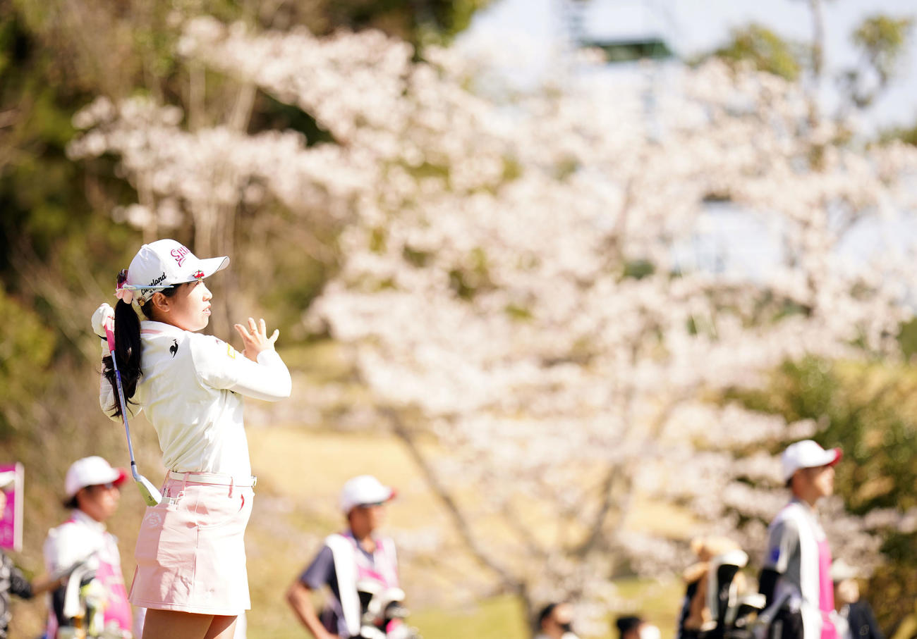 17番、桜をバックにティーショットを放つ菅沼（撮影・狩俣裕三）