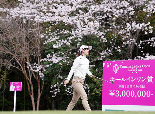 11番、桜が咲く中、ティーショットを放ち、グリーンへ向かう蛭田（撮影・狩俣裕三）