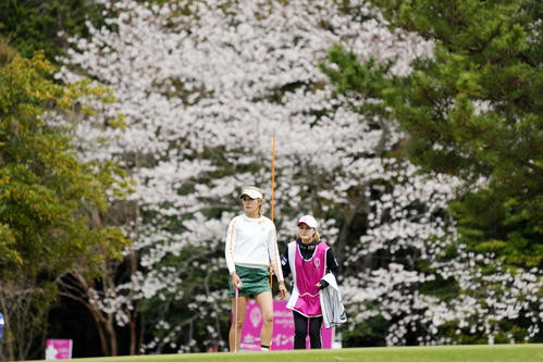 10番、グリーンんを読む金田（左）（撮影・狩俣裕三）