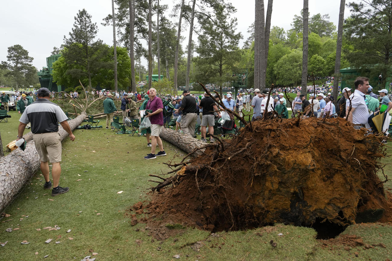 マスターズ第2日　巨大な木が倒れた17番ホールのティーグラウンド（AP）