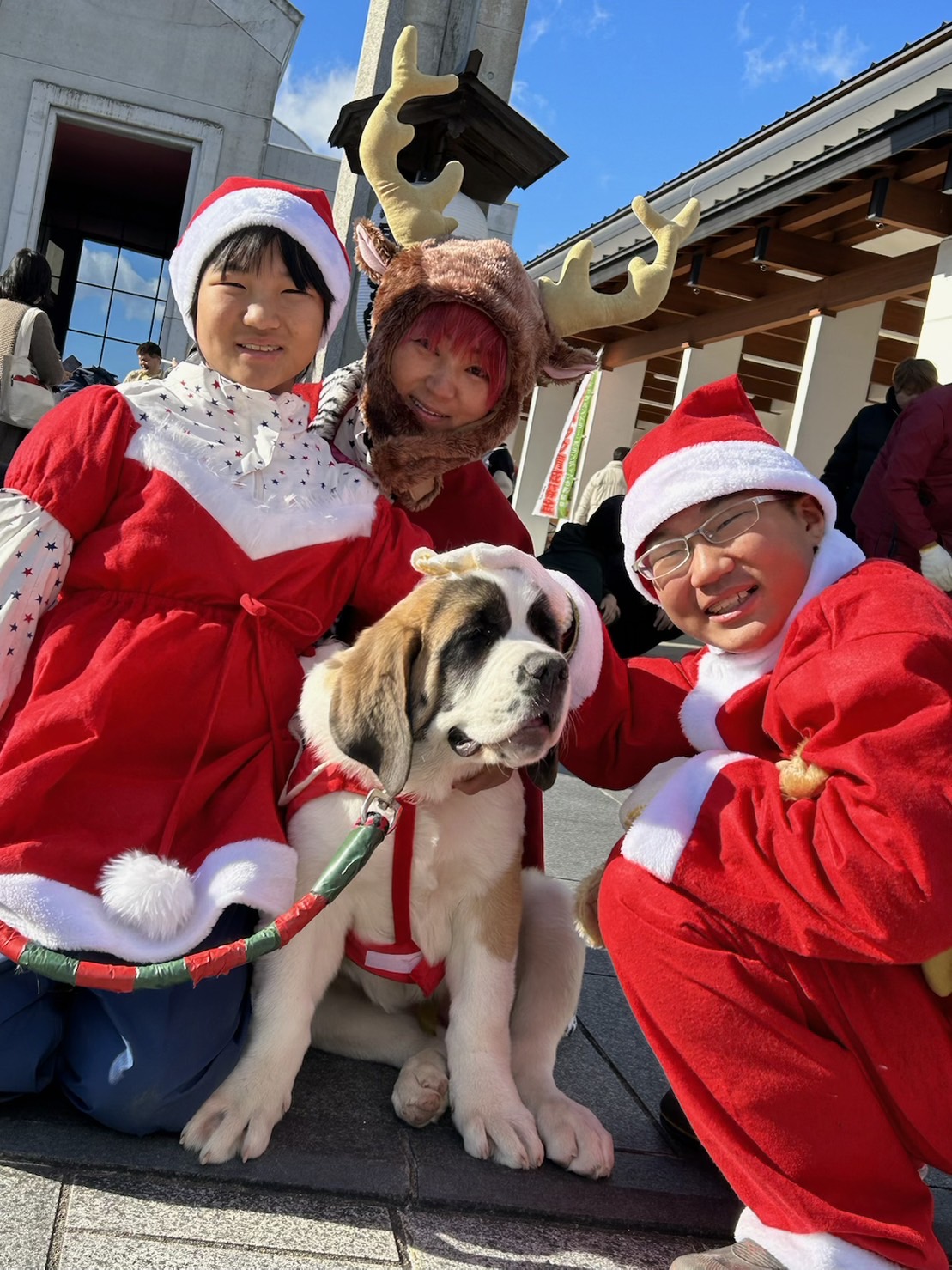 飼い始めたばかりのセントバーナード「リボン　マスターズ」も含め、家族でクリスマスイベントを楽しむ左から須藤弥勒、母みゆきさん、兄桃太郎君（父憲一さん提供）