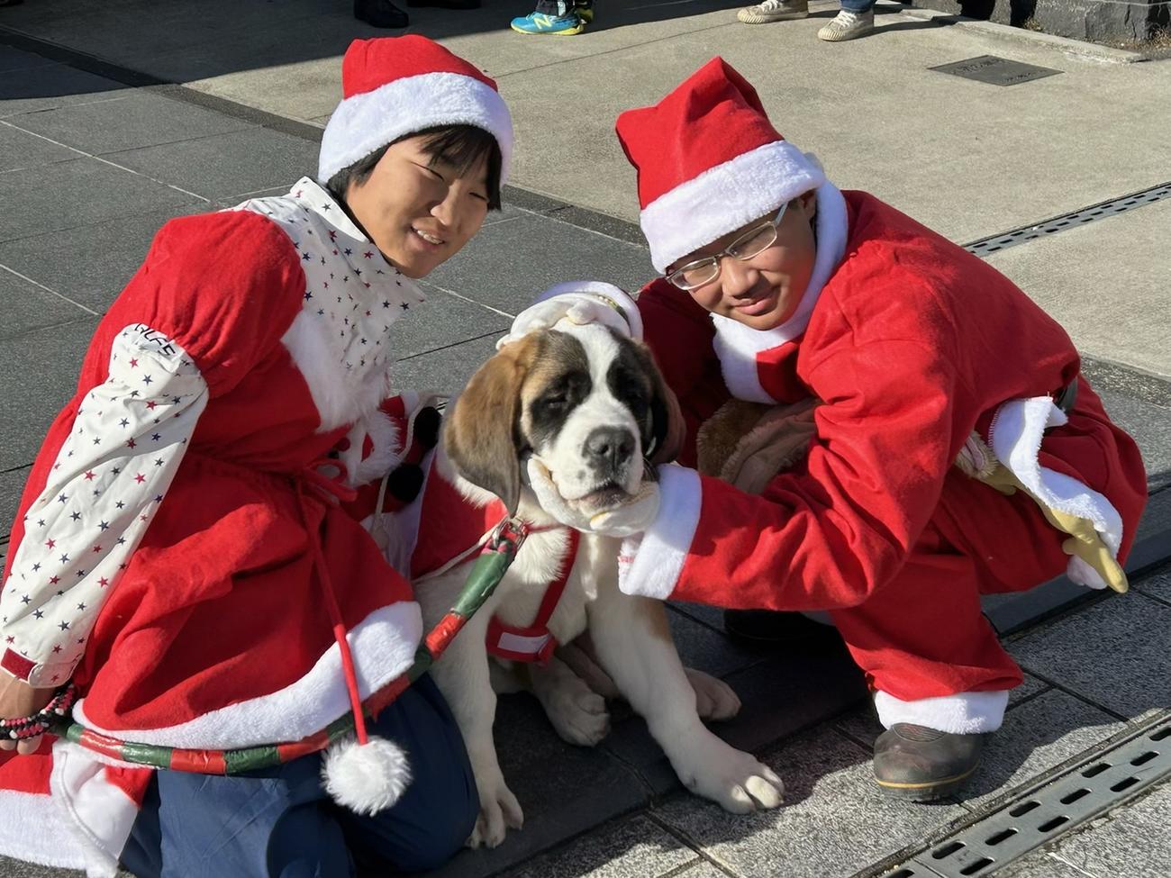 飼い始めたばかりのセントバーナード「リボン　マスターズ」も含め、家族でクリスマスイベントを楽しむ左から須藤弥勒（左）一家。右は兄桃太郎君（父憲一さん提供）