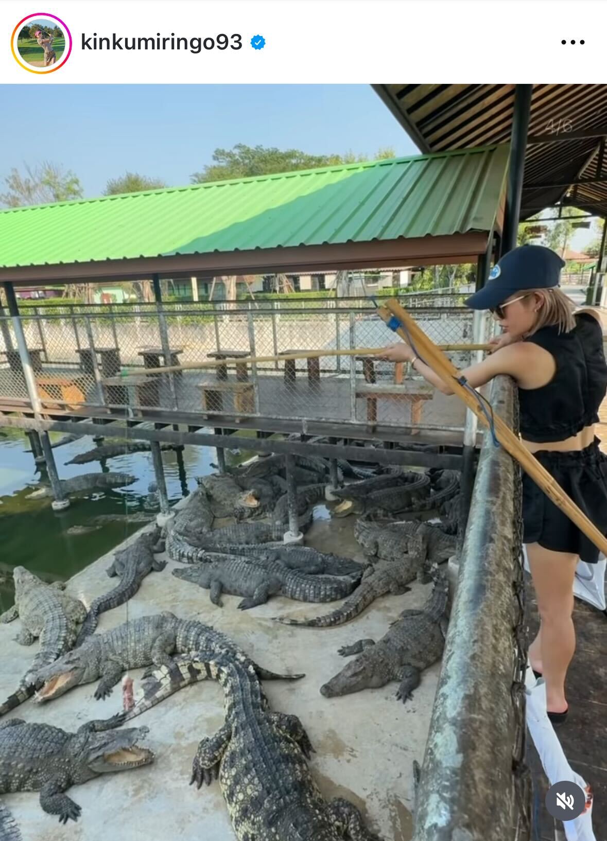 金田久美子のインスタグラムから