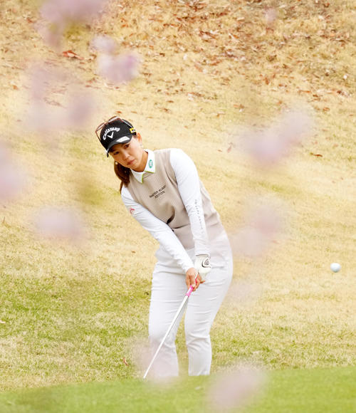 2番、ショットを放つ上田桃子（撮影・横山健太）