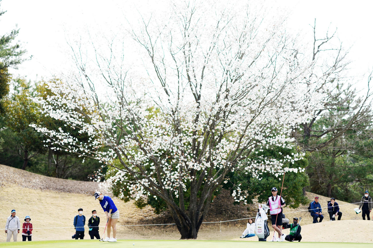 3番、バーディーを狙う上田（撮影・横山健太）