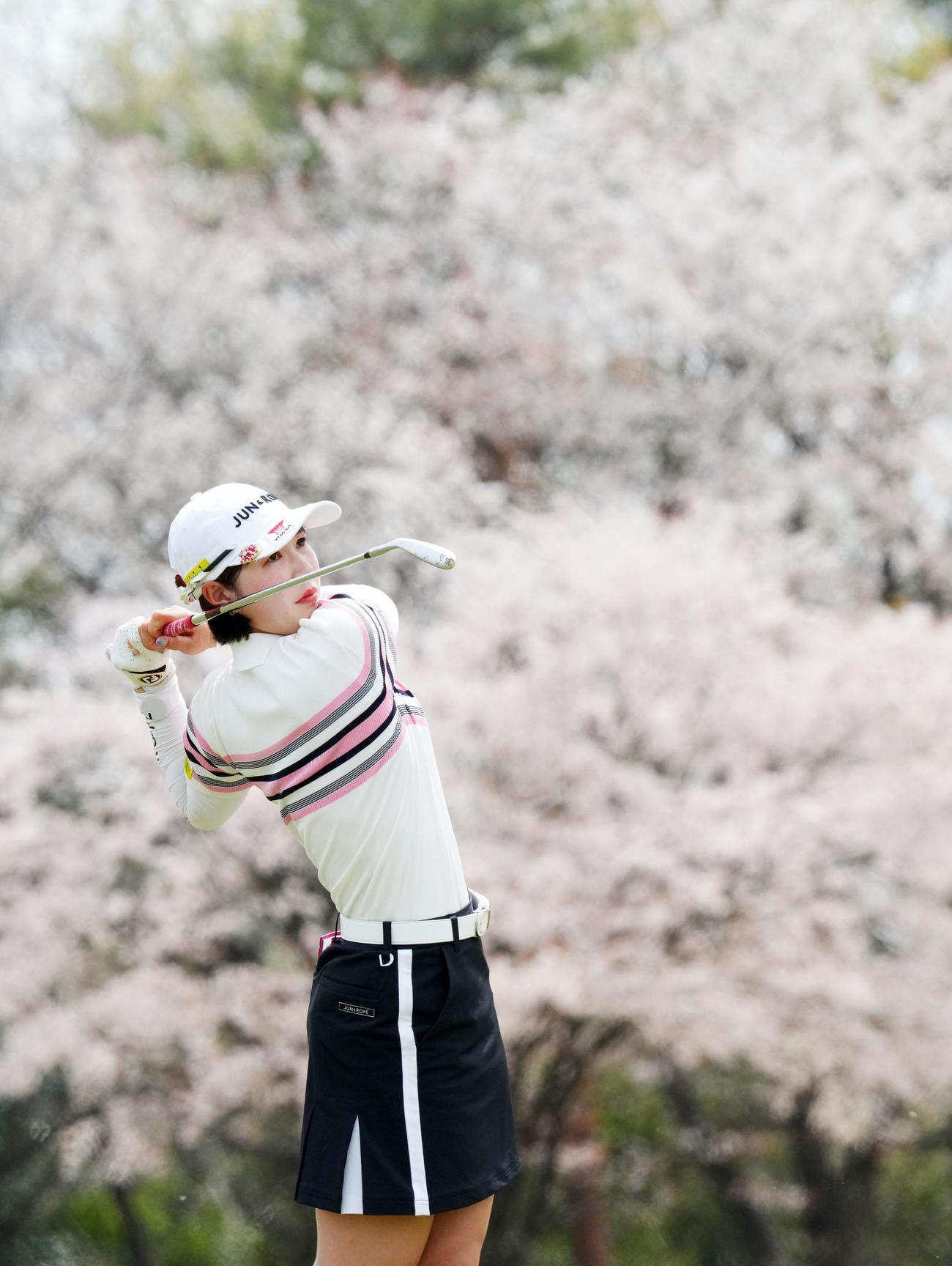 15番、桜を背にショットを放つ蛭田（撮影・横山健太）