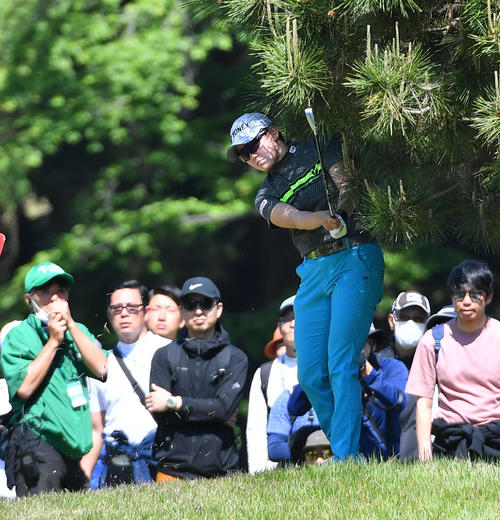 6番、木の下から第2打を放つ岩井明愛（撮影・岩下翔太）