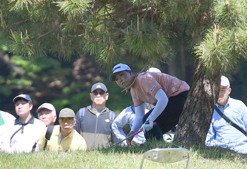 6番、木の下から第2打を放ち、打球を見つめる竹田麗央（撮影・岩下翔太）