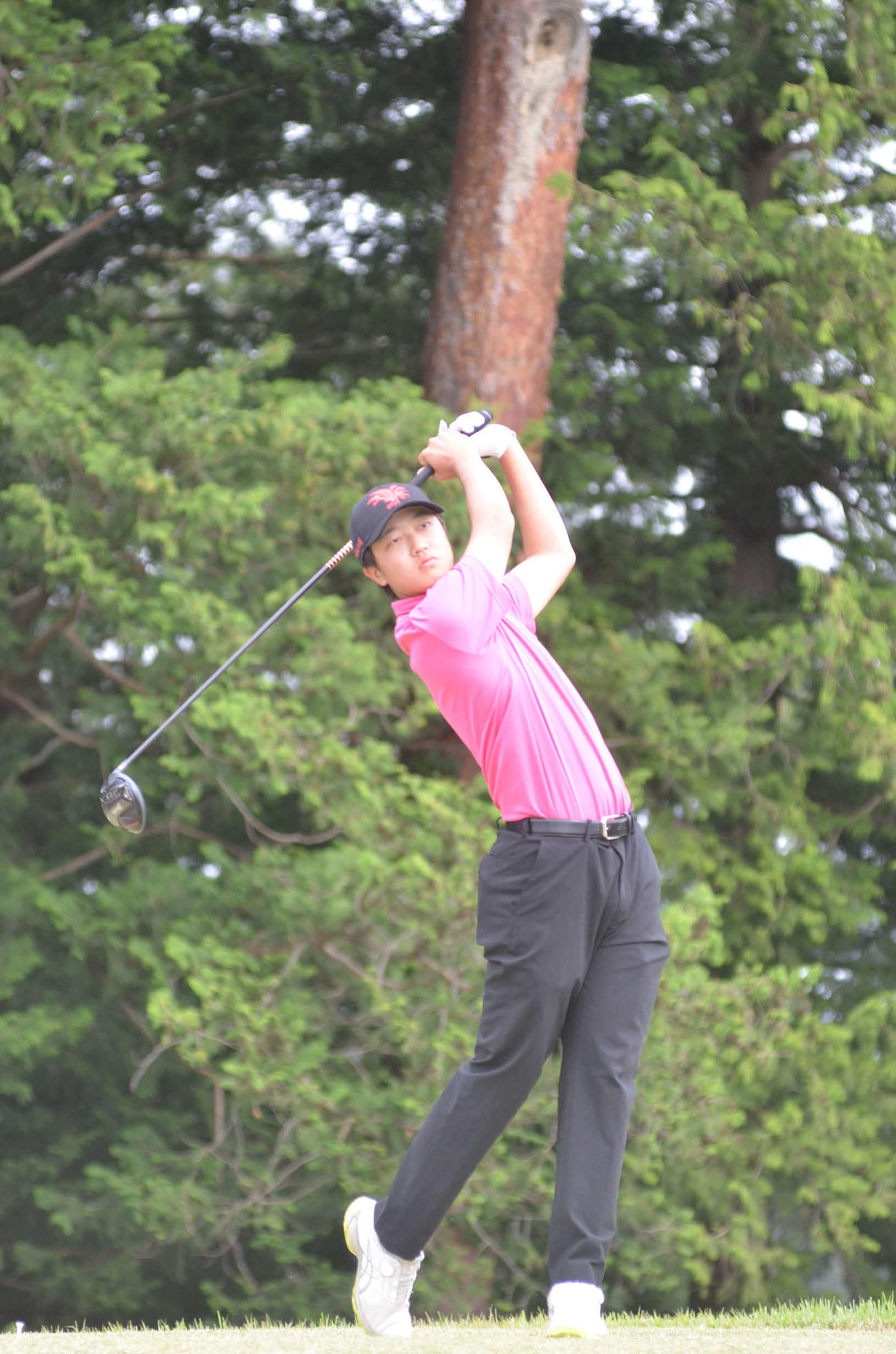 高木暢仁（佐野日大）