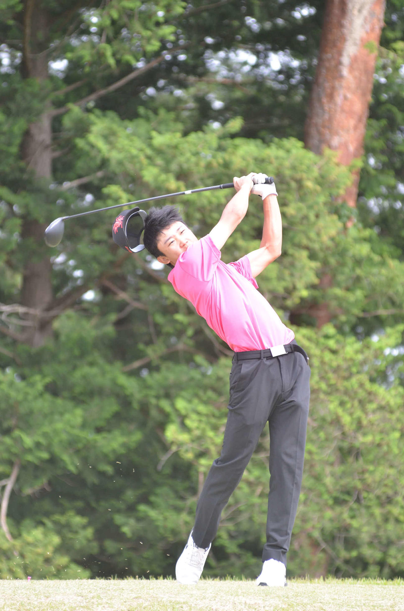 佐藤ミラー（佐野日大）