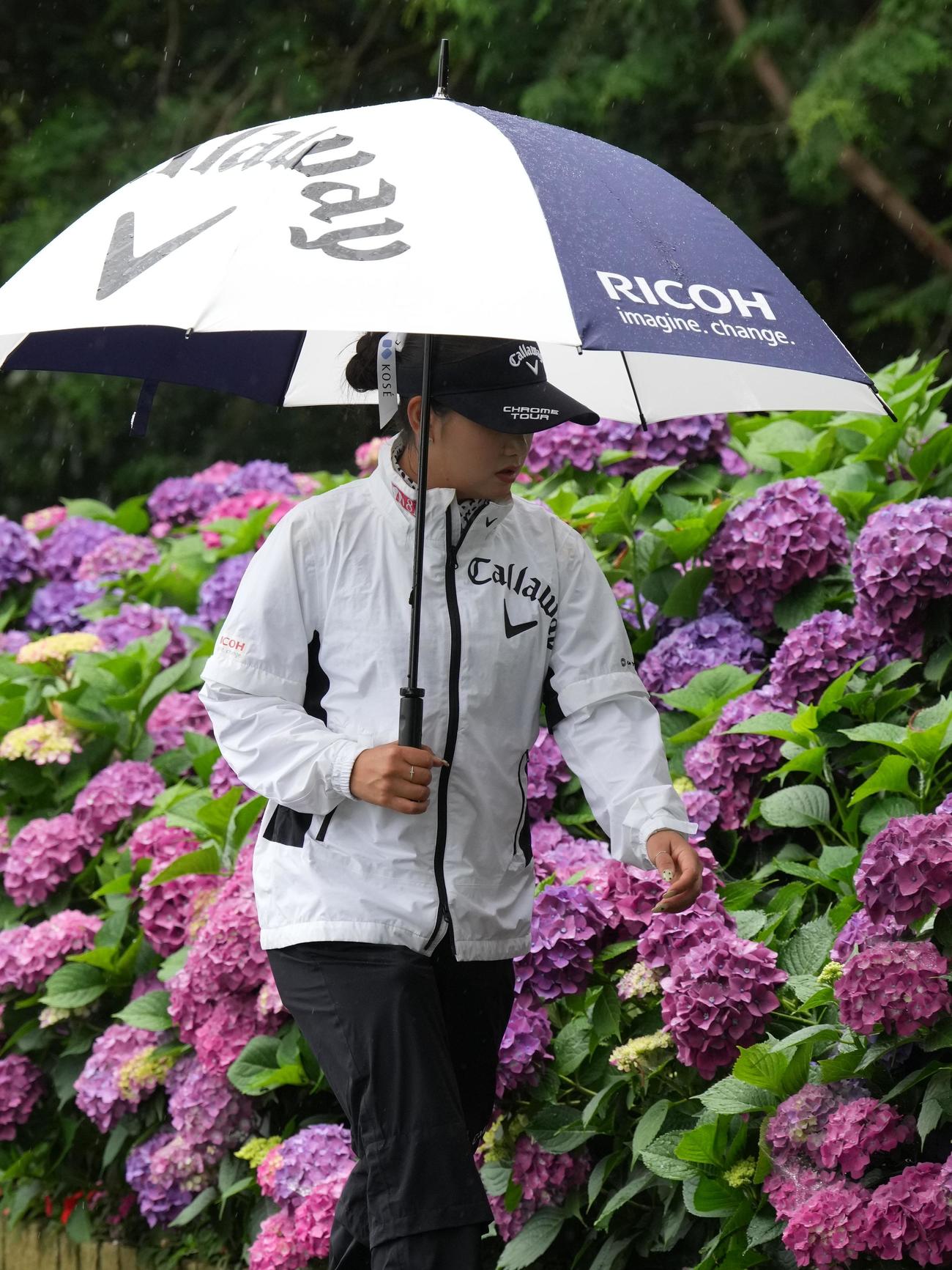 アースモンダミンカップ2日目、10番ティーへ移動する河本（撮影・小沢裕）
