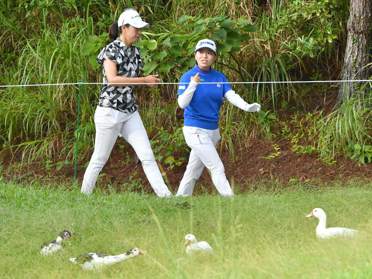 木戸愛（左）と話しながら4番へ移動する勝みなみ。手前はゴルフ場にすみつく鳥たち（撮影・岩下翔太）
