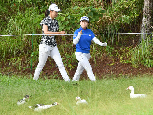 木戸愛（左）と話しながら4番へ移動する勝みなみ。手前はゴルフ場にすみつく鳥たち（撮影・岩下翔太）