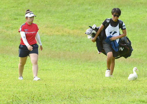 コース内を歩く鳥を見ながら3番グリーンへ向かう山下美夢有（撮影・岩下翔太）