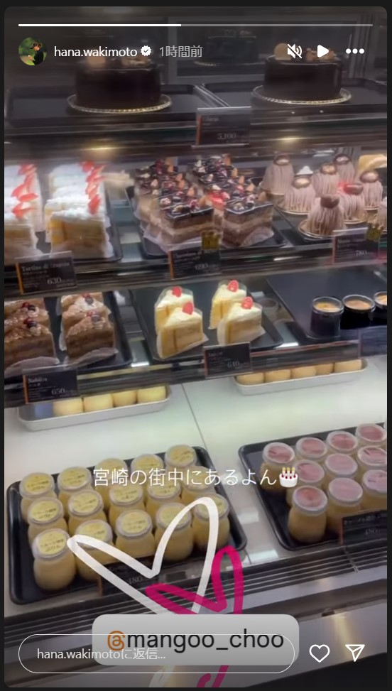 脇元華のストーリーズから