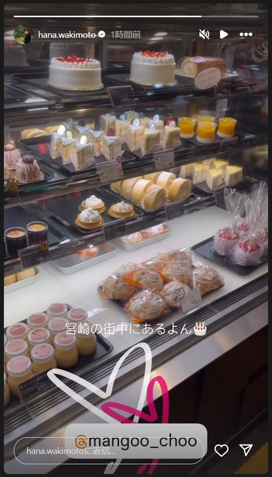 脇元華のストーリーズから