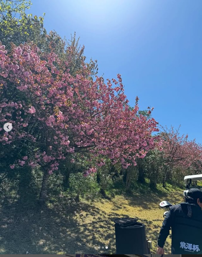 真琴のインスタグラムから