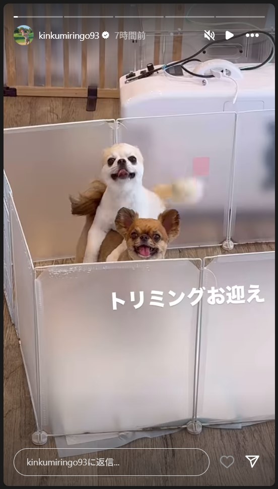 金田久美子のストーリーズから