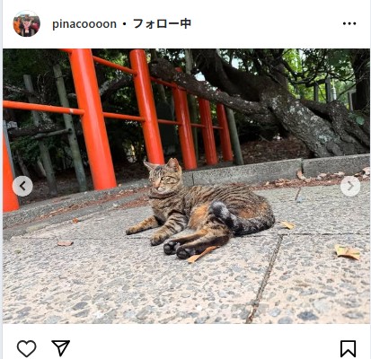 渋野日向子のインスタグラムから