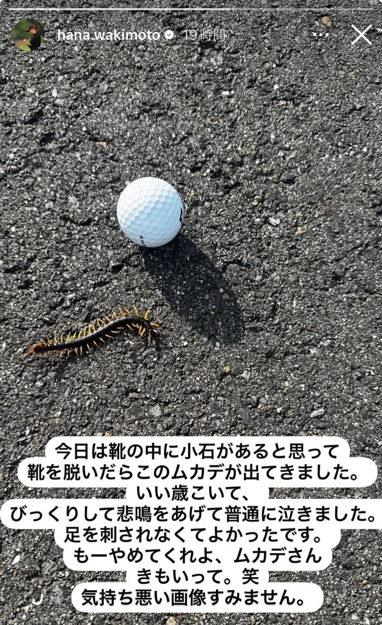 画像は脇元華のインスタグラムから