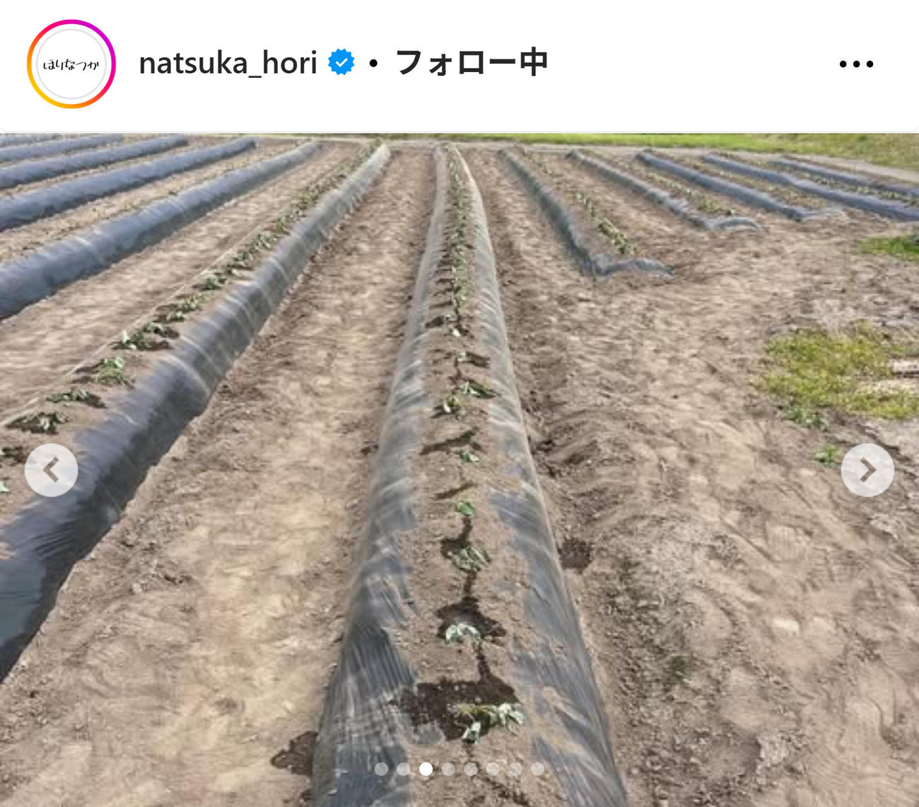 堀奈津佳のインスタグラムから