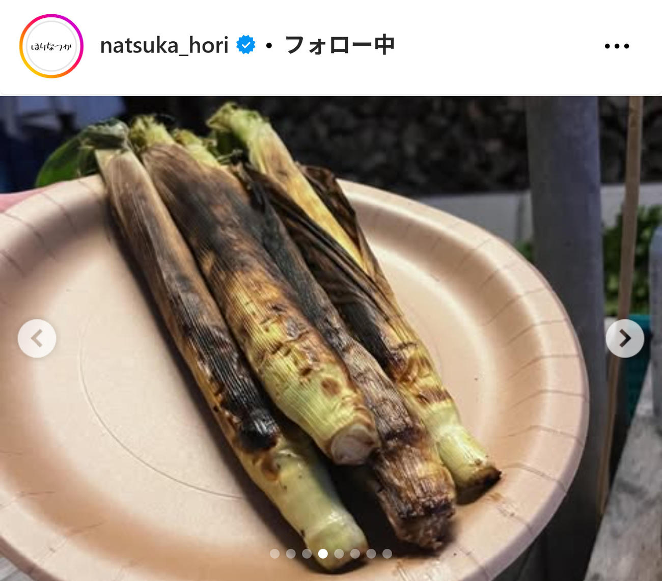 堀奈津佳のインスタグラムから