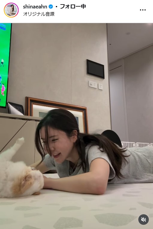 アン・シネさんのインスタグラムから