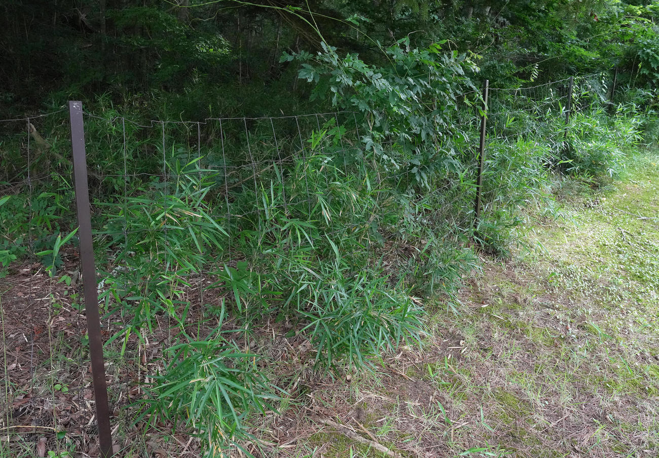 クマの目撃情報があった仙台クラシックGCの雑木林に設置されている柵（撮影・足立雅史）