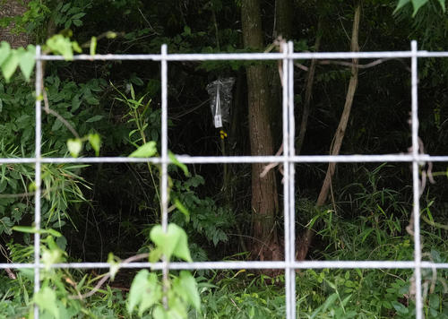 安全対策としてコースを仕切る柵の外にクマよけのラジオが設置された（撮影・足立雅史）