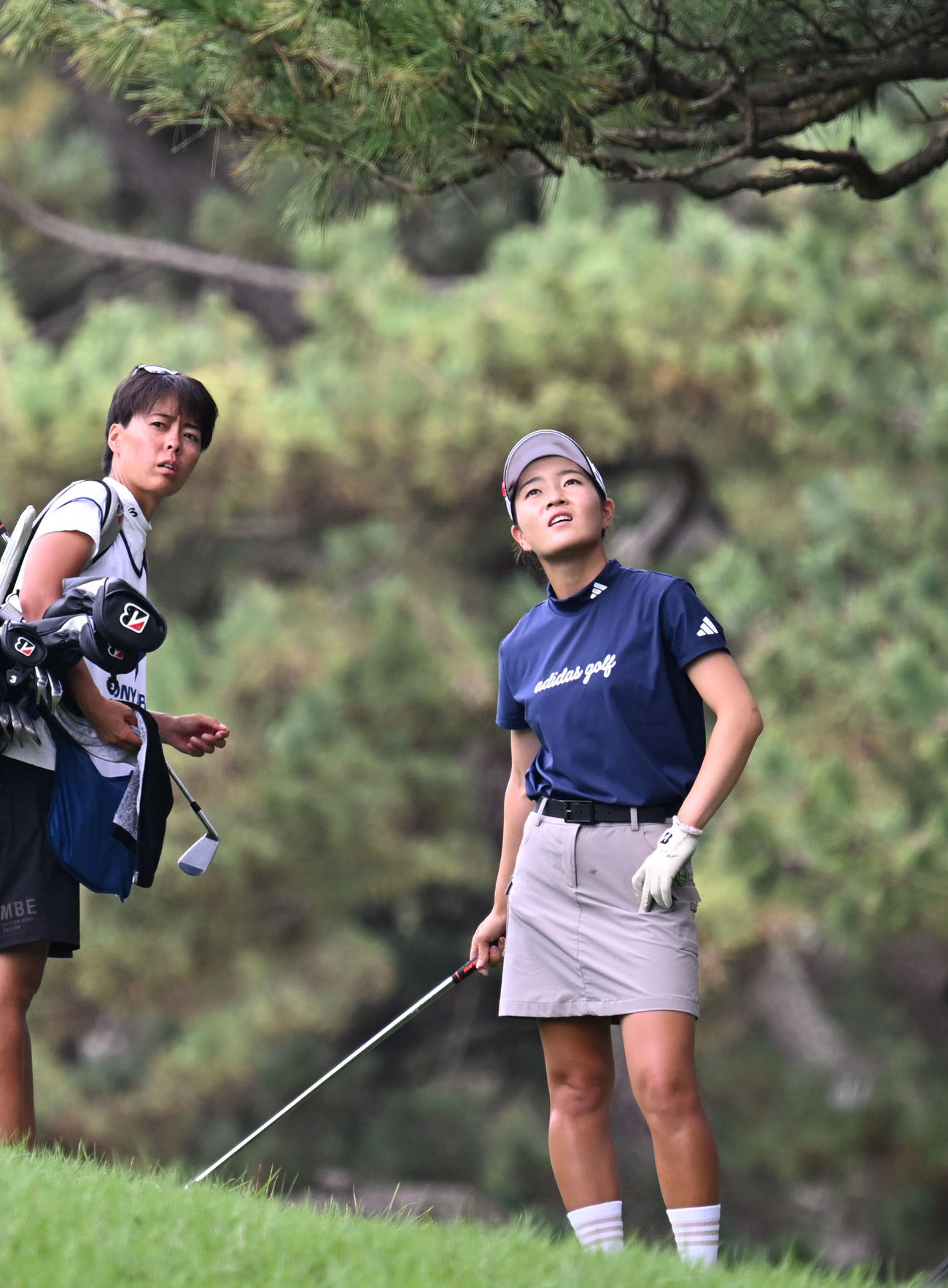 ソニー日本女子プロゴルフ選手権大会　最終日、6番でショットを前に松の木の枝を気にする佐藤心結（撮影・千葉一成）