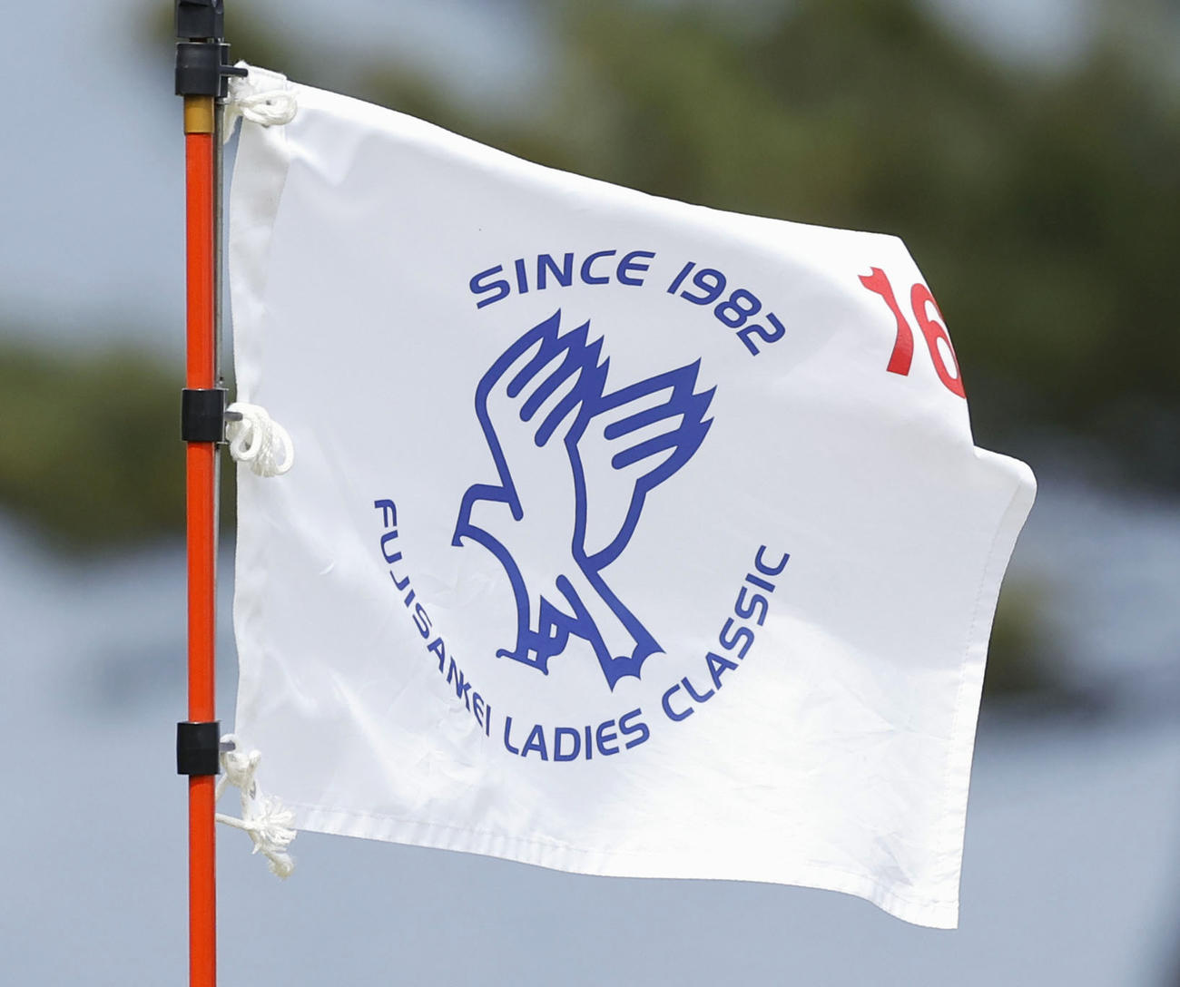 日本女子ゴルフツアー、フジサンケイ・レディースのコースの旗＝2023年4月、静岡県の川奈ホテルGC富士(共同)