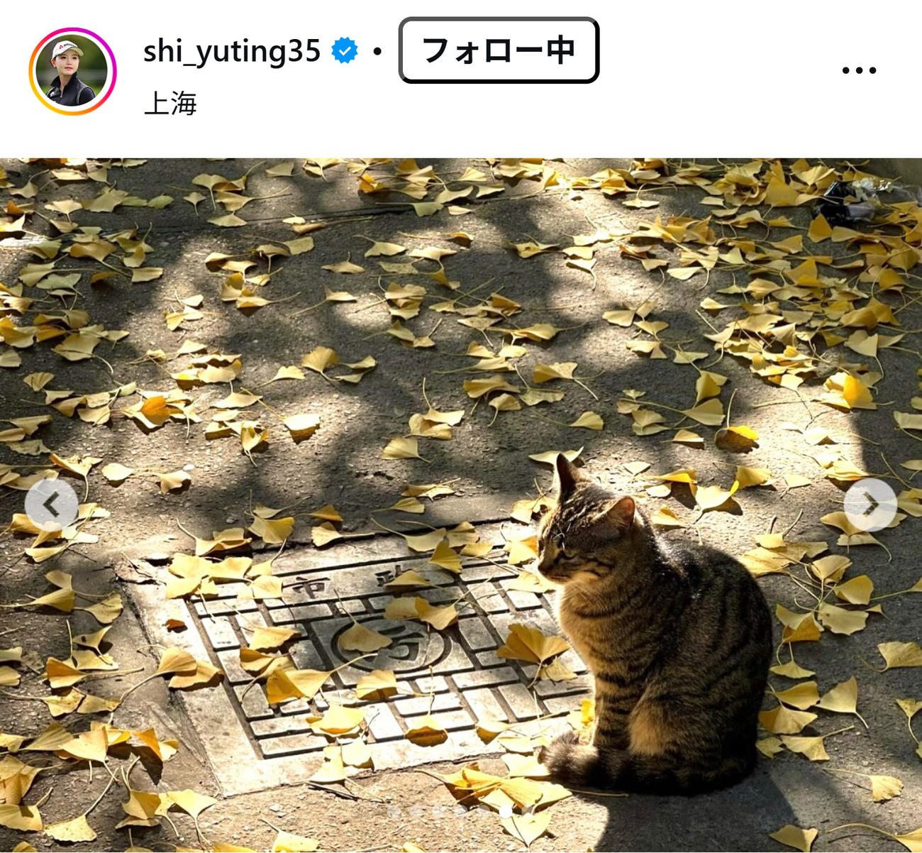 セキ・ユウティンのインスタグラムから