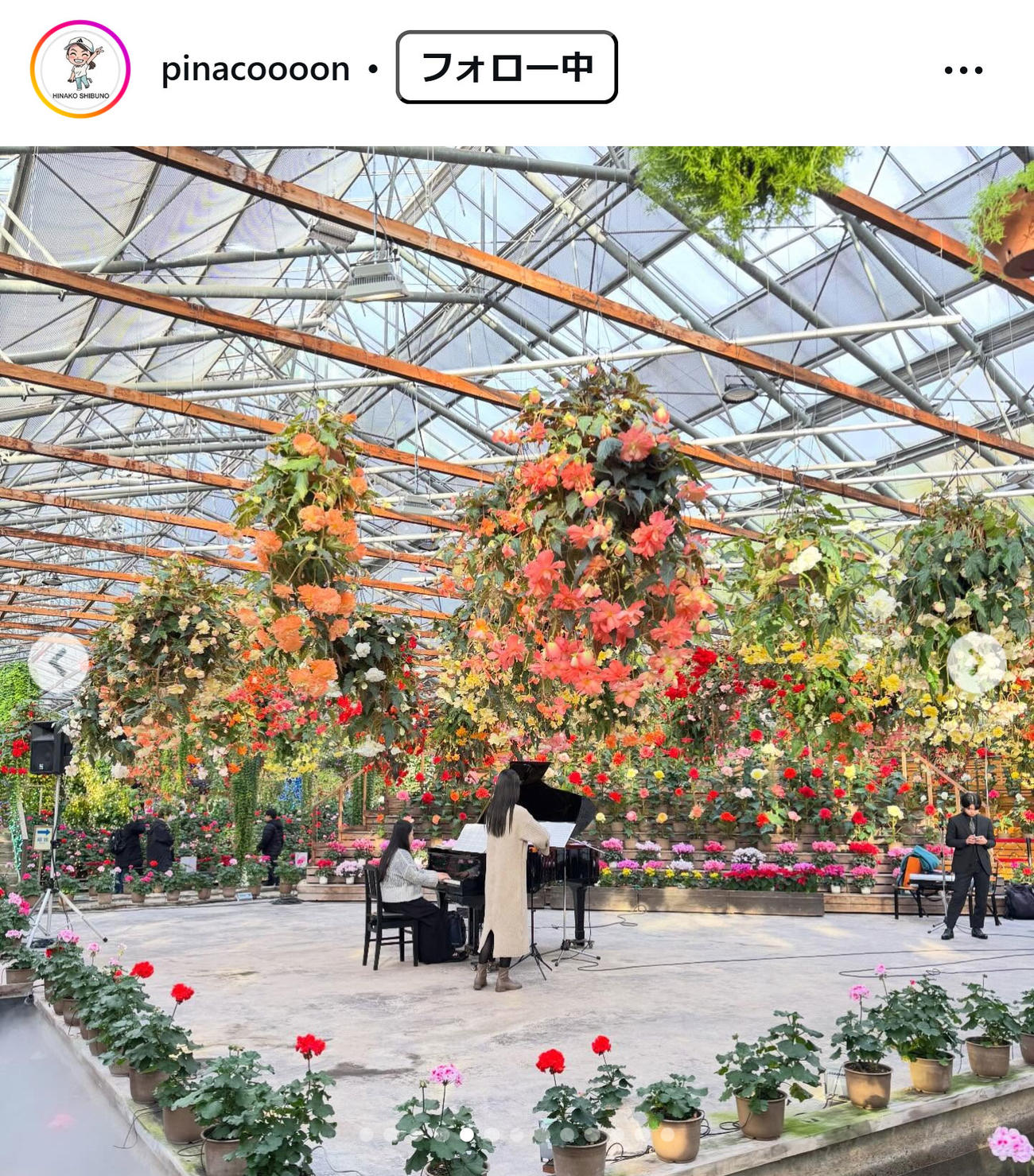 渋野日向子のインスタグラムから
