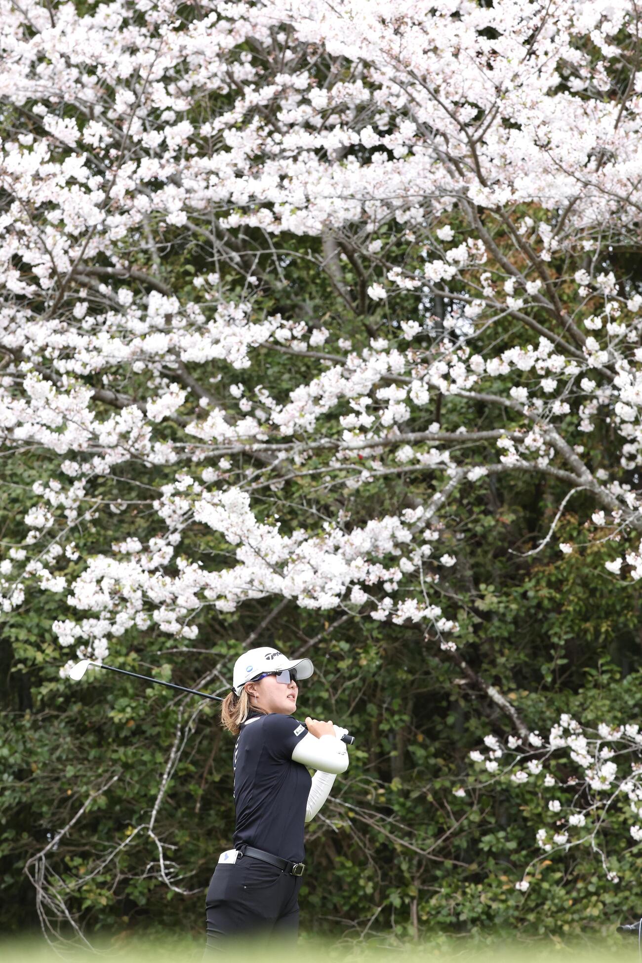 11番、ティーショットを放つ高橋彩華（撮影・宮地輝）