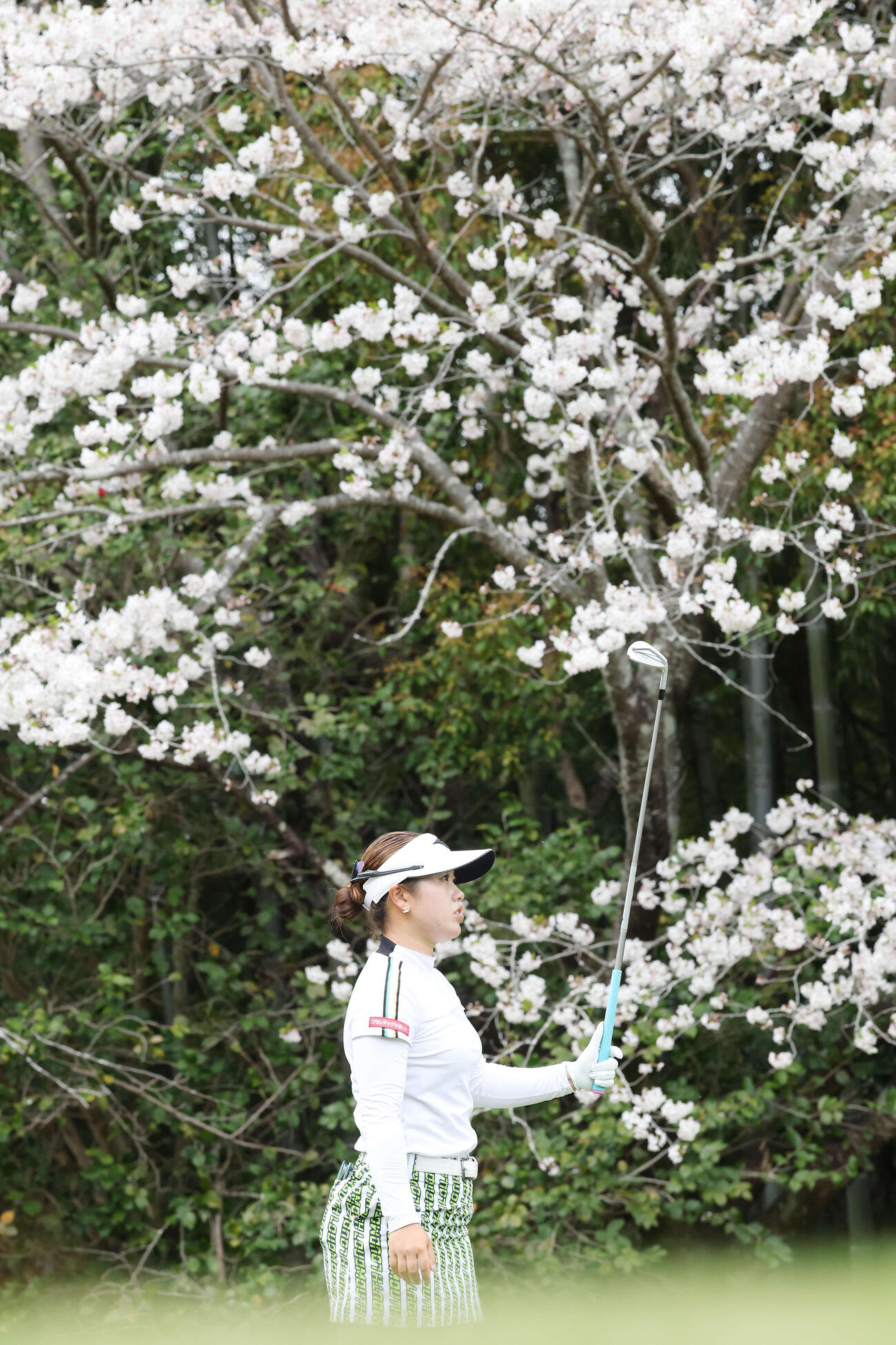 11番、ティーショットを放つ仲村果乃（撮影・宮地輝）
