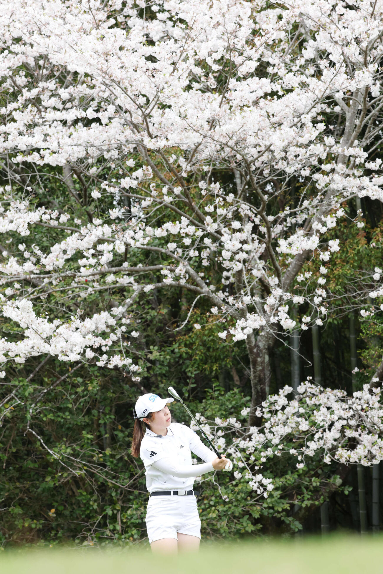 11番、ティーショットを放つ荒木優奈（撮影・宮地輝）