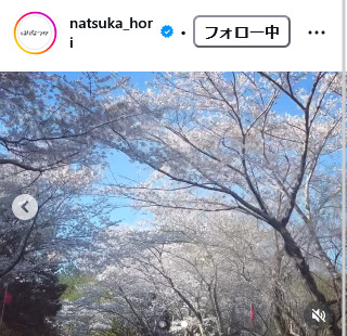 堀奈津佳のインスタグラムから