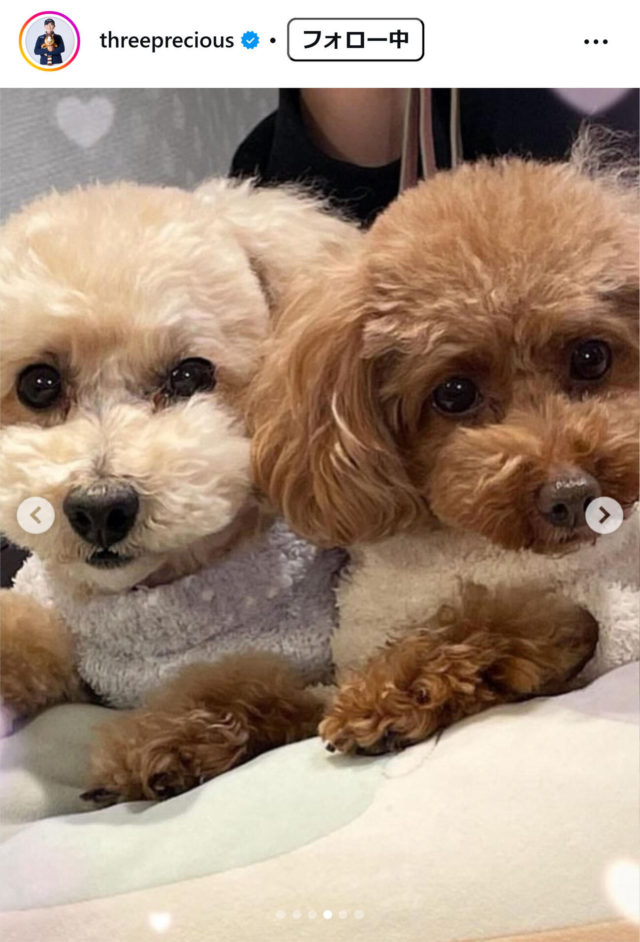 佐伯三貴のインスタグラムから