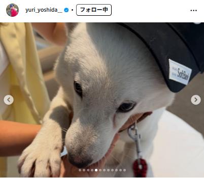 吉田優利のインスタグラムから