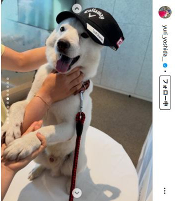 吉田優利のインスタグラムから