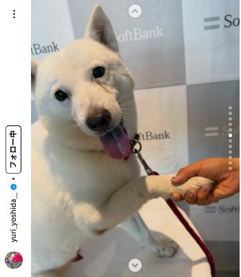 吉田優利のインスタグラムから