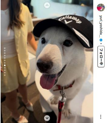 吉田優利のインスタグラムから